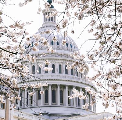 US Senate