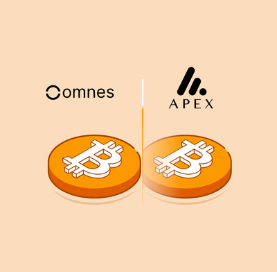 OMNES APEX partnering