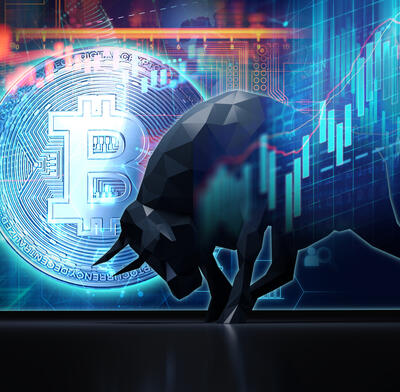 Bitcoin bull