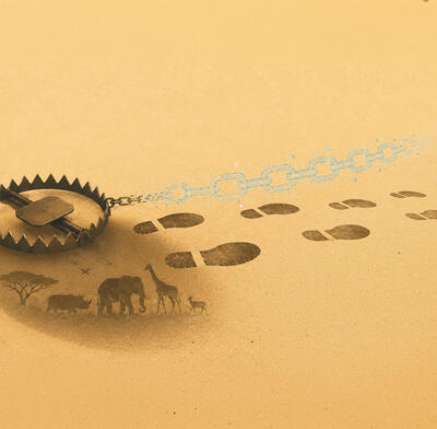 Wildlife