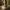 Statue of Satoshi Nakamoto