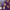 Solana_coins_4