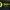 Bitmine