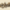 The Ether Machine logo
