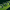 Is the RobinHood chain actually bullish for Arbitrum